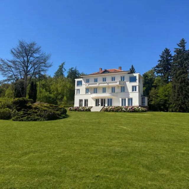 Villa Königsstuhl oberhalb von Rhens